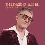 دانلود آهنگ ممنون از شادمهر عقیلی